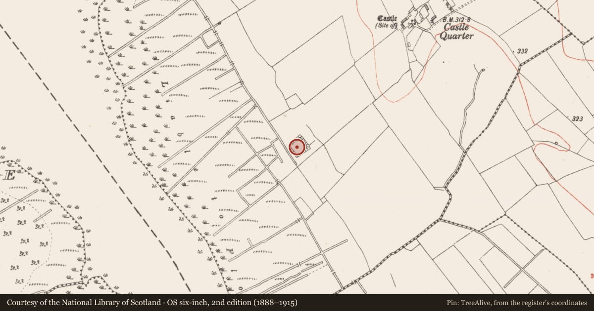 Ordnance Survey six-inch map, 2nd edition (1888–1915) covering the location of Moated site, Farrow, County Westmeath, with a pin at the register's coordinates