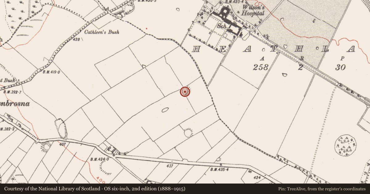Ordnance Survey six-inch map, 2nd edition (1888–1915) covering the location of Ringfort - rath, Kilpatrick, County Westmeath, with a pin at the register's coordinates