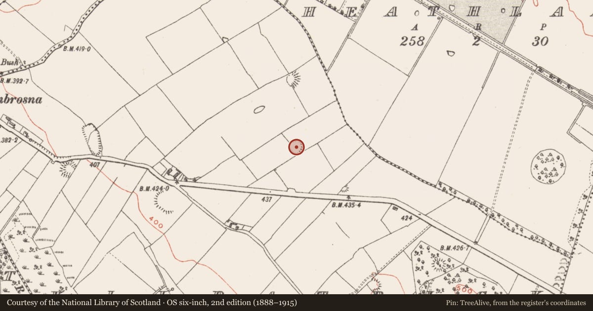 Ordnance Survey six-inch map, 2nd edition (1888–1915) covering the location of Ringfort - rath, Kilpatrick, County Westmeath, with a pin at the register's coordinates