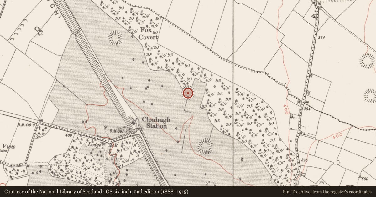 Ordnance Survey six-inch map, 2nd edition (1888–1915) covering the location of Ringfort - rath, Ballynafid, County Westmeath, with a pin at the register's coordinates
