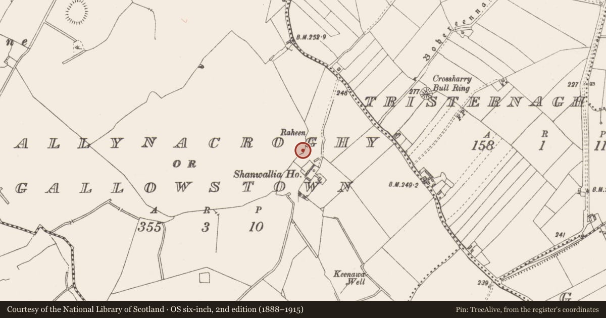 Ordnance Survey six-inch map, 2nd edition (1888–1915) covering the location of Sweathouse, Ballynacroghy Or Gallowstown, County Westmeath, with a pin at the register's coordinates