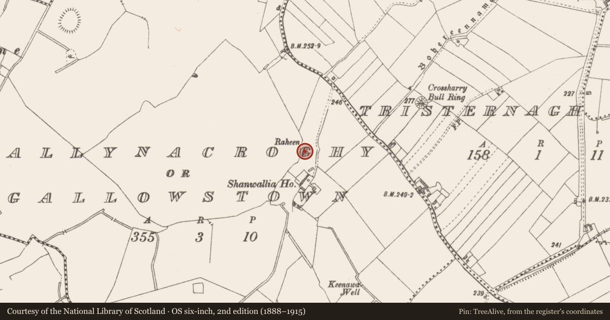 Ordnance Survey six-inch map, 2nd edition (1888–1915) covering the location of Ringfort - rath, Ballynacroghy Or Gallowstown, County Westmeath, with a pin at the register's coordinates