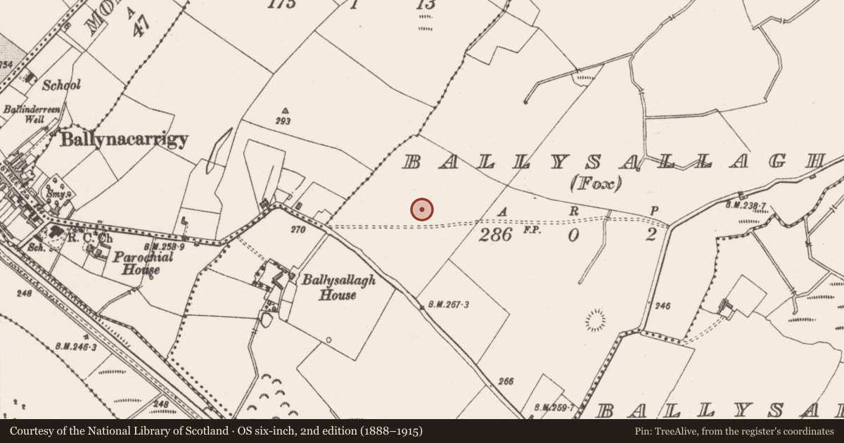 Ordnance Survey six-inch map, 2nd edition (1888–1915) covering the location of Souterrain, Ballysallagh (Fox), County Westmeath, with a pin at the register's coordinates
