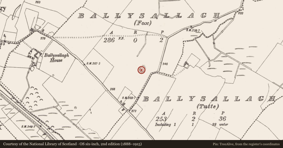 Ordnance Survey six-inch map, 2nd edition (1888–1915) covering the location of Souterrain, Ballysallagh (Fox), County Westmeath, with a pin at the register's coordinates