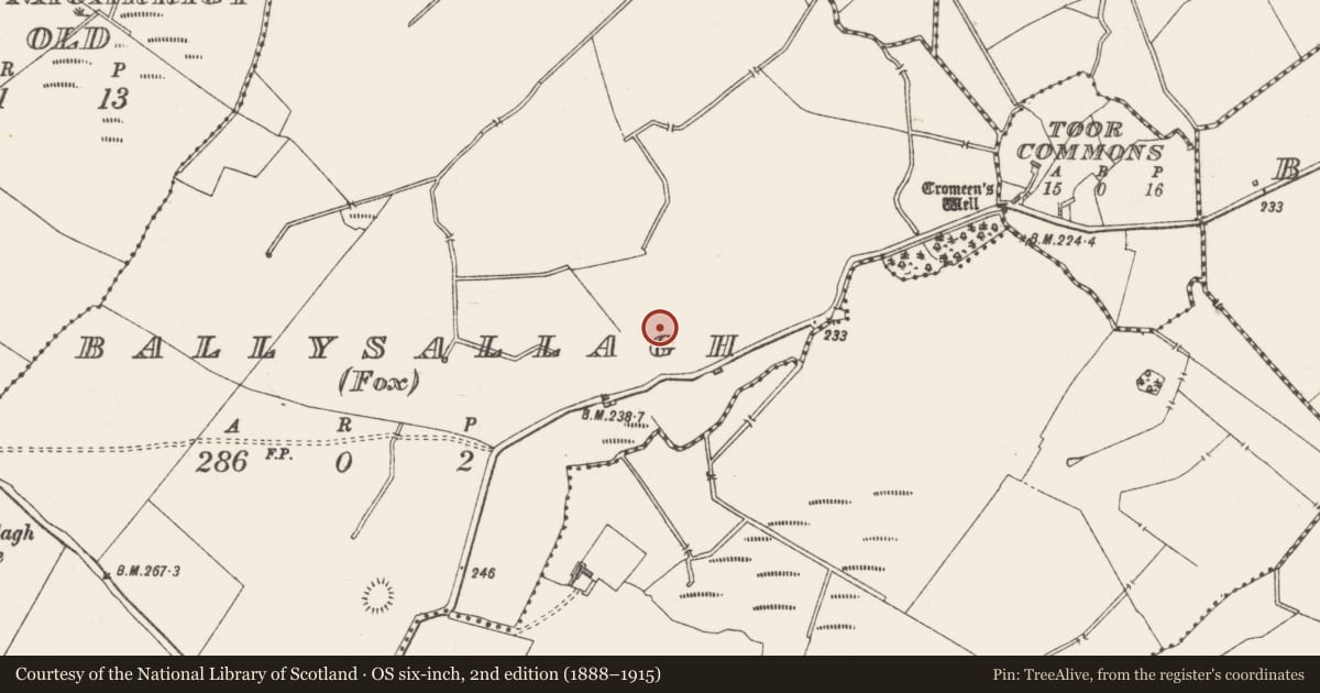 Ordnance Survey six-inch map, 2nd edition (1888–1915) covering the location of House - indeterminate date, Ballysallagh (Fox), County Westmeath, with a pin at the register's coordinates