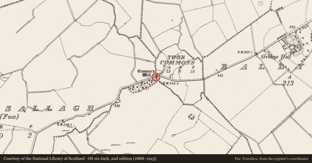 Ordnance Survey six-inch map, 2nd edition (1888–1915) covering the location of Ritual site - holy well, Ballysallagh (Fox), County Westmeath, with a pin at the register's coordinates