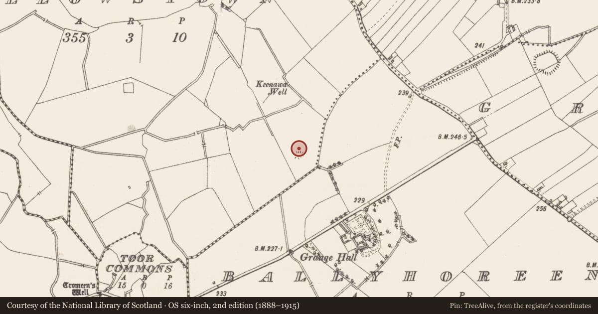 Ordnance Survey six-inch map, 2nd edition (1888–1915) covering the location of Ringfort - rath, Ballynacroghy Or Gallowstown, County Westmeath, with a pin at the register's coordinates