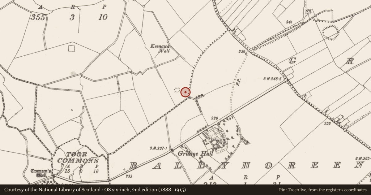 Ordnance Survey six-inch map, 2nd edition (1888–1915) covering the location of Moated site, Ballynacroghy Or Gallowstown, County Westmeath, with a pin at the register's coordinates