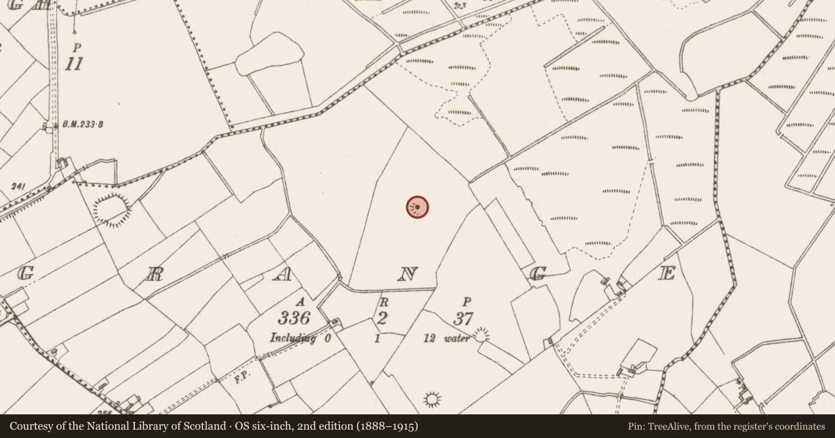 Ordnance Survey six-inch map, 2nd edition (1888–1915) covering the location of Ringfort - unclassified, Grange, County Westmeath, with a pin at the register's coordinates