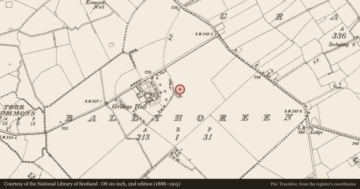 Ordnance Survey six-inch map, 2nd edition (1888–1915) covering the location of Ringfort - rath, Ballyhoreen, County Westmeath, with a pin at the register's coordinates