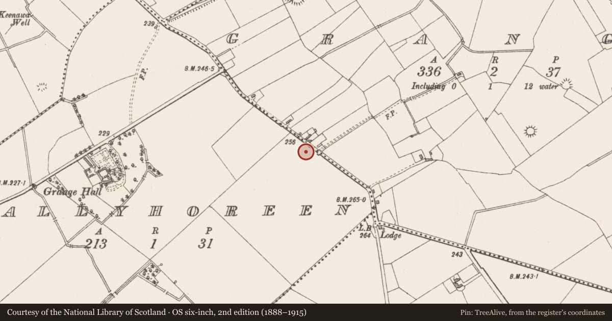 Ordnance Survey six-inch map, 2nd edition (1888–1915) covering the location of Ringfort - unclassified, Ballyhoreen, County Westmeath, with a pin at the register's coordinates