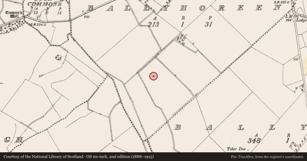 Ordnance Survey six-inch map, 2nd edition (1888–1915) covering the location of Ringfort - rath, Ballyhoreen, County Westmeath, with a pin at the register's coordinates