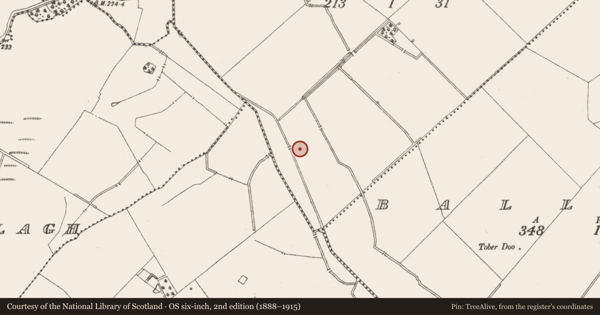 Ordnance Survey six-inch map, 2nd edition (1888–1915) covering the location of Ringfort - rath, Ballyhoreen, County Westmeath, with a pin at the register's coordinates