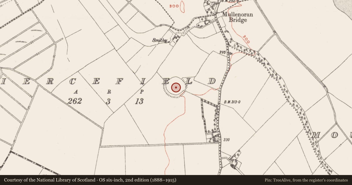 Ordnance Survey six-inch map, 2nd edition (1888–1915) covering the location of Ringfort - rath, Piercefield, County Westmeath, with a pin at the register's coordinates