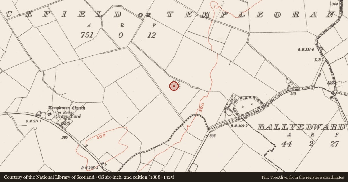 Ordnance Survey six-inch map, 2nd edition (1888–1915) covering the location of Ringfort - rath, Piercefield Or Templeoran, County Westmeath, with a pin at the register's coordinates