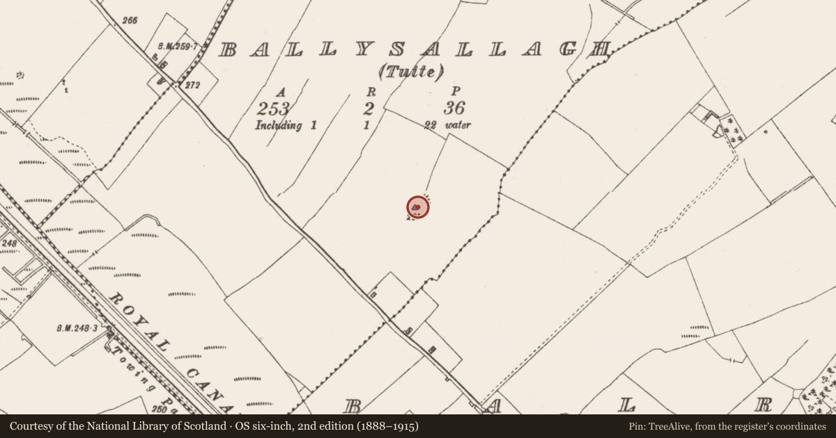 Ordnance Survey six-inch map, 2nd edition (1888–1915) covering the location of Earthwork, Ballysallagh (Tuite), County Westmeath, with a pin at the register's coordinates
