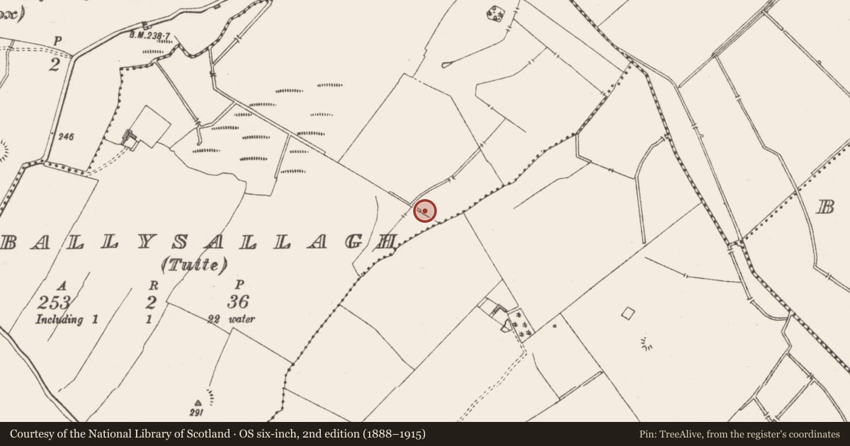 Ordnance Survey six-inch map, 2nd edition (1888–1915) covering the location of Fulacht fia, Ballysallagh (Tuite), County Westmeath, with a pin at the register's coordinates