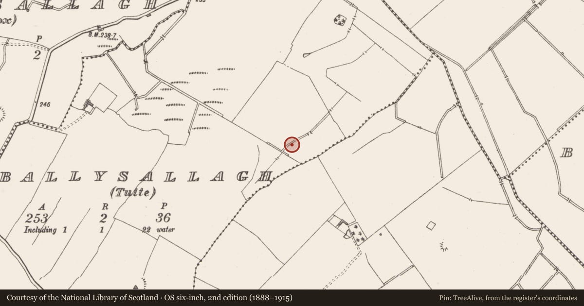 Ordnance Survey six-inch map, 2nd edition (1888–1915) covering the location of Fulacht fia, Ballysallagh (Tuite), County Westmeath, with a pin at the register's coordinates