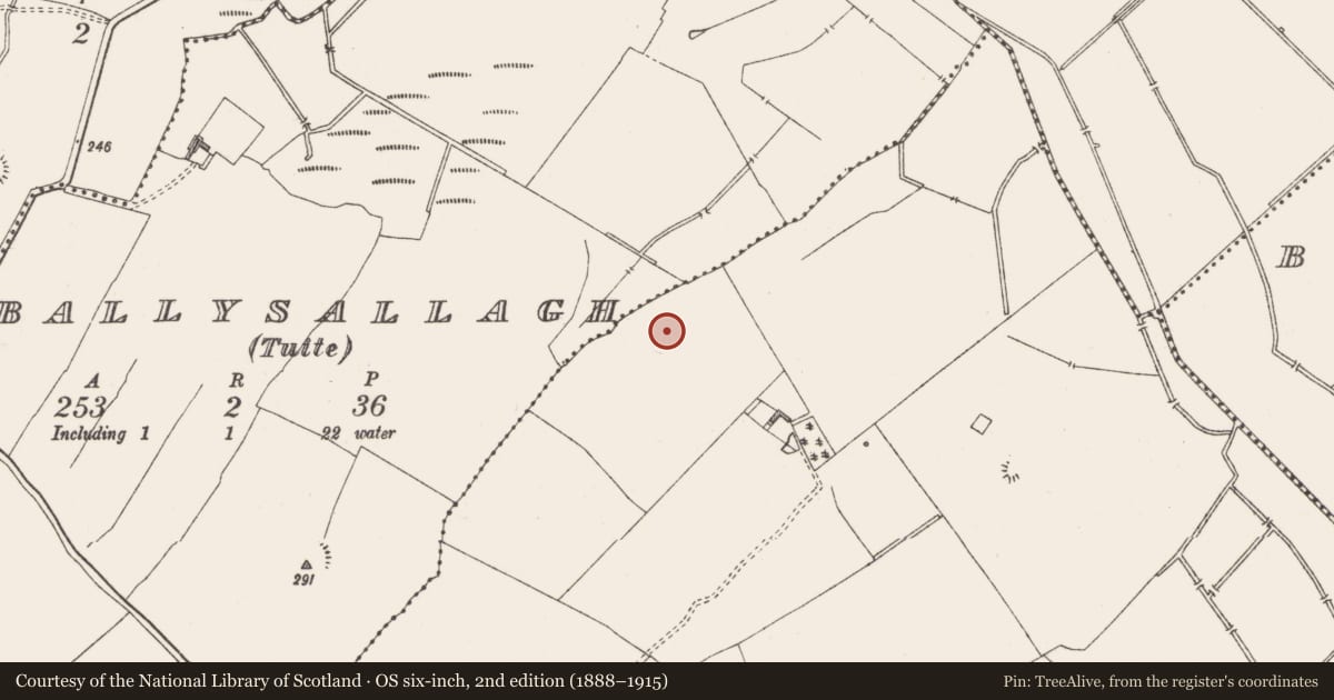 Ordnance Survey six-inch map, 2nd edition (1888–1915) covering the location of Fulacht fia, Balroe, County Westmeath, with a pin at the register's coordinates