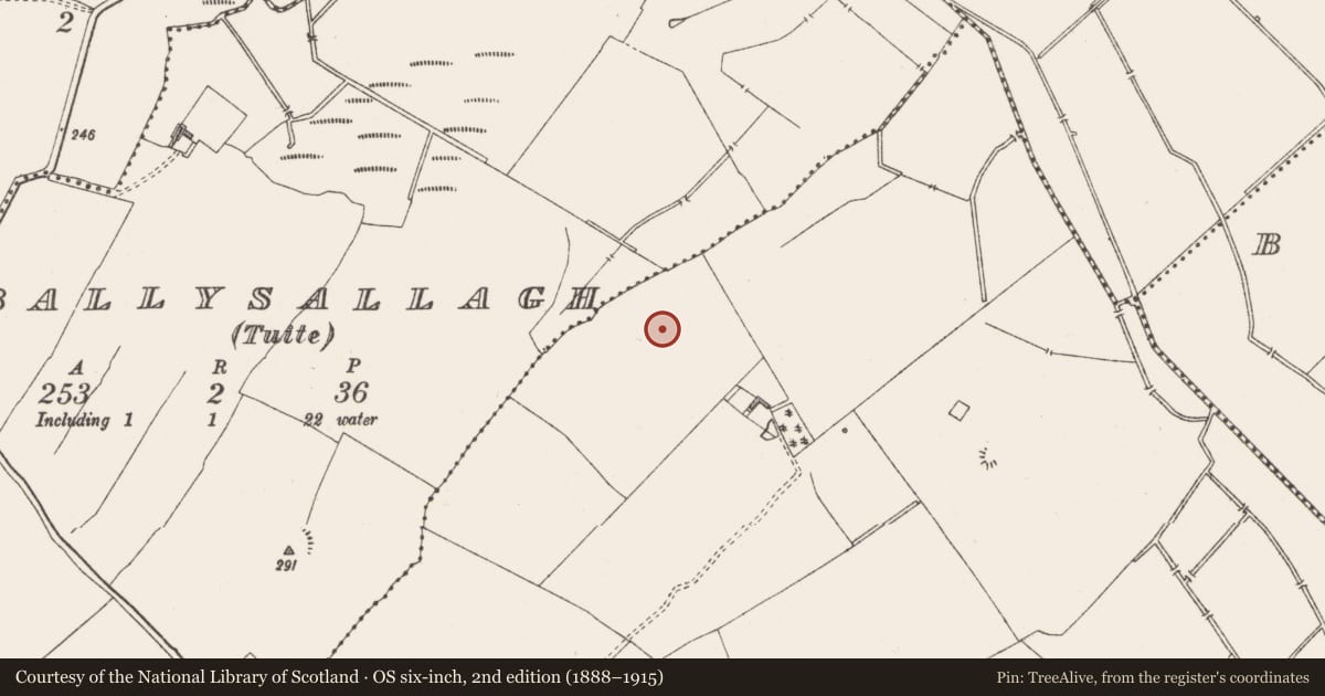 Ordnance Survey six-inch map, 2nd edition (1888–1915) covering the location of Fulacht fia, Balroe, County Westmeath, with a pin at the register's coordinates