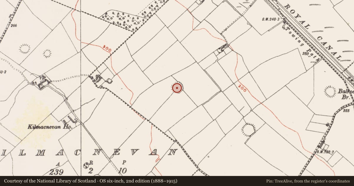 Ordnance Survey six-inch map, 2nd edition (1888–1915) covering the location of Ringfort - rath, Ballintue, County Westmeath, with a pin at the register's coordinates