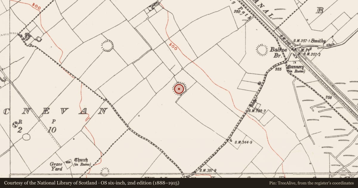 Ordnance Survey six-inch map, 2nd edition (1888–1915) covering the location of Ringfort - rath, Ballintue, County Westmeath, with a pin at the register's coordinates