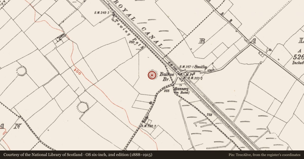 Ordnance Survey six-inch map, 2nd edition (1888–1915) covering the location of Ringfort - rath, Ballintue, County Westmeath, with a pin at the register's coordinates