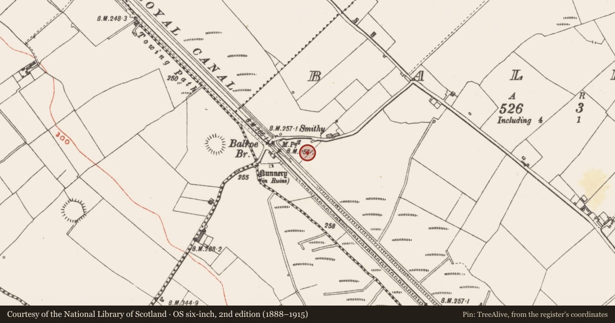 Ordnance Survey six-inch map, 2nd edition (1888–1915) covering the location of Ringfort - rath, Balroe, County Westmeath, with a pin at the register's coordinates