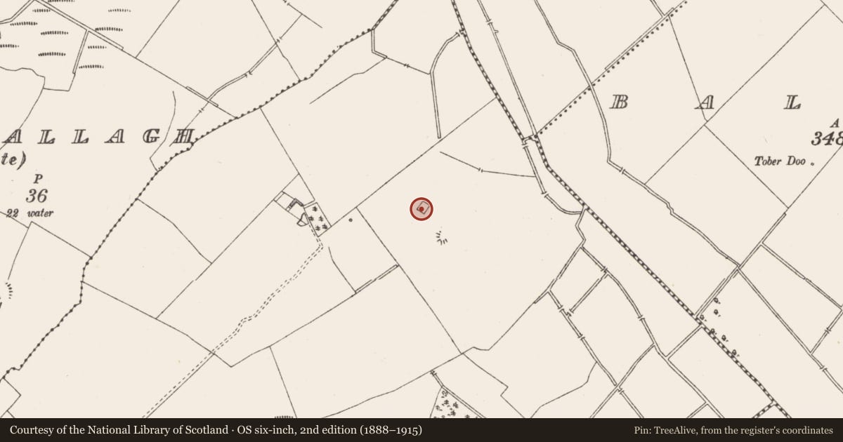 Ordnance Survey six-inch map, 2nd edition (1888–1915) covering the location of Moated site, Balroe, County Westmeath, with a pin at the register's coordinates