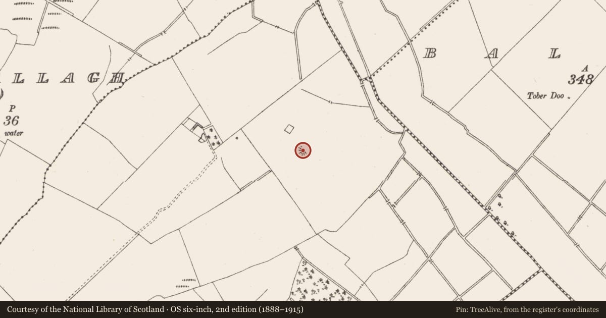 Ordnance Survey six-inch map, 2nd edition (1888–1915) covering the location of Ringfort - rath, Balroe, County Westmeath, with a pin at the register's coordinates