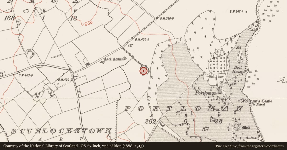Ordnance Survey six-inch map, 2nd edition (1888–1915) covering the location of Ringfort - rath, Portloman, County Westmeath, with a pin at the register's coordinates