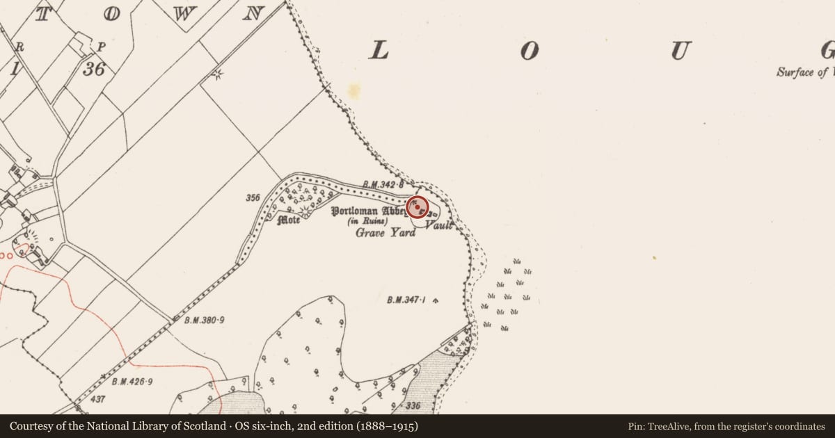 Ordnance Survey six-inch map, 2nd edition (1888–1915) covering the location of Graveslab, Portloman, County Westmeath, with a pin at the register's coordinates