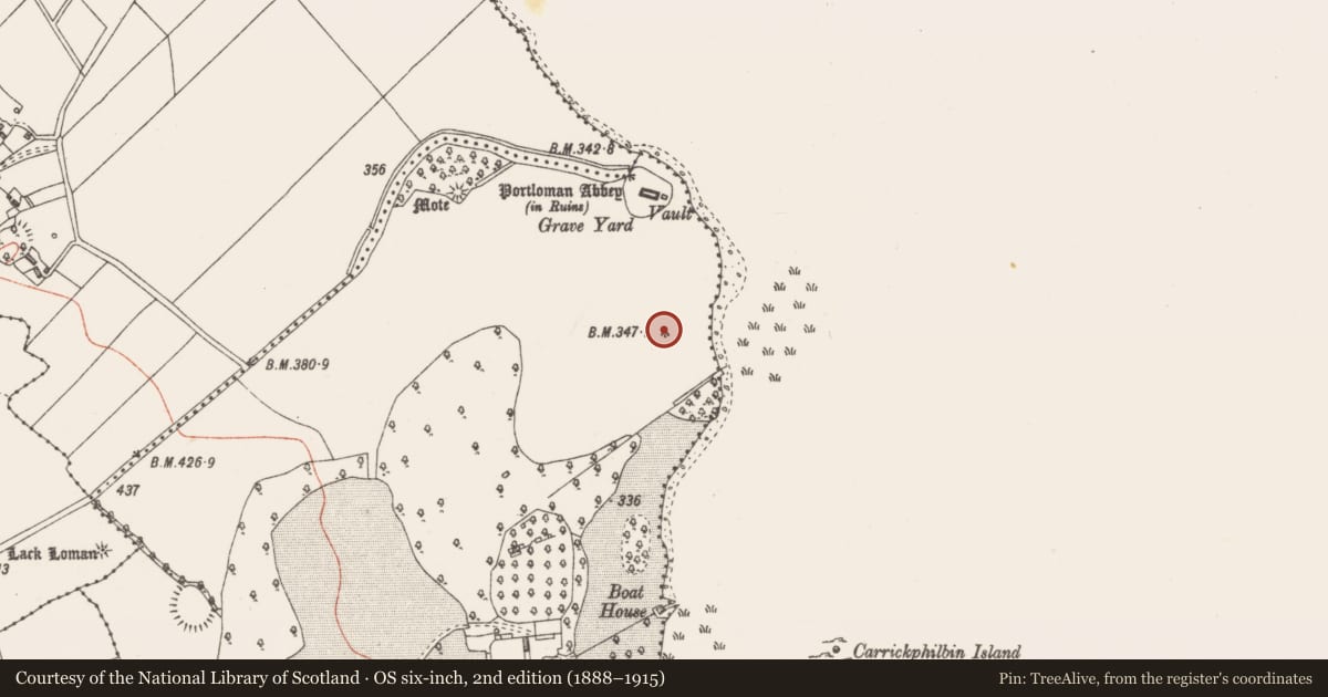 Ordnance Survey six-inch map, 2nd edition (1888–1915) covering the location of Standing stone, Portloman, County Westmeath, with a pin at the register's coordinates