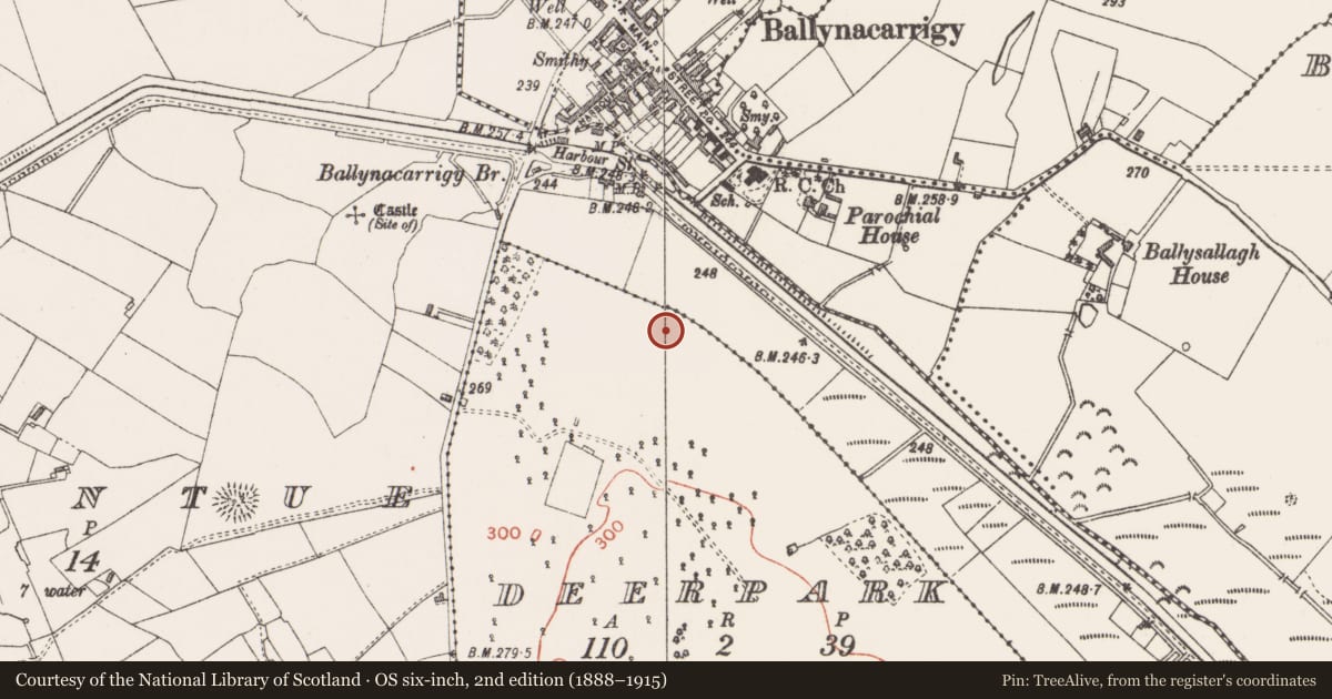 Ordnance Survey six-inch map, 2nd edition (1888–1915) covering the location of Souterrain, Deerpark, County Westmeath, with a pin at the register's coordinates