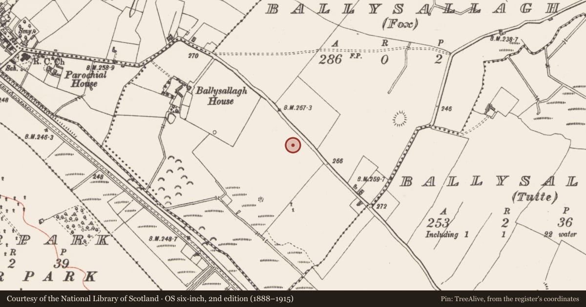 Ordnance Survey six-inch map, 2nd edition (1888–1915) covering the location of Souterrain, Ballysallagh (Fox), County Westmeath, with a pin at the register's coordinates