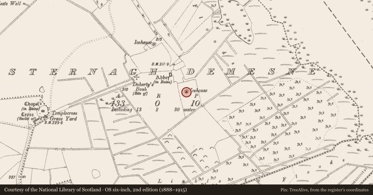 Ordnance Survey six-inch map, 2nd edition (1888–1915) covering the location of Icehouse, Tristernagh Demesne, County Westmeath, with a pin at the register's coordinates