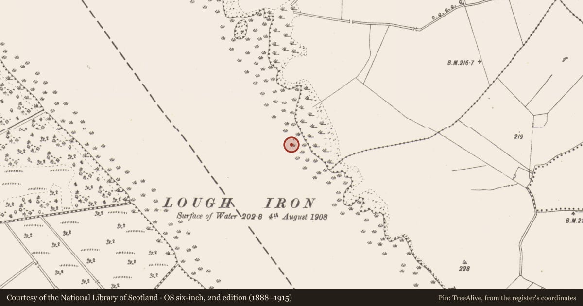 Ordnance Survey six-inch map, 2nd edition (1888–1915) covering the location of Crannog, Lough Iron, Cullenhugh, County Westmeath, with a pin at the register's coordinates