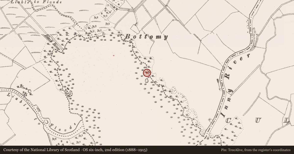 Ordnance Survey six-inch map, 2nd edition (1888–1915) covering the location of Crannog, Lough Iron, Joanstown, County Westmeath, with a pin at the register's coordinates