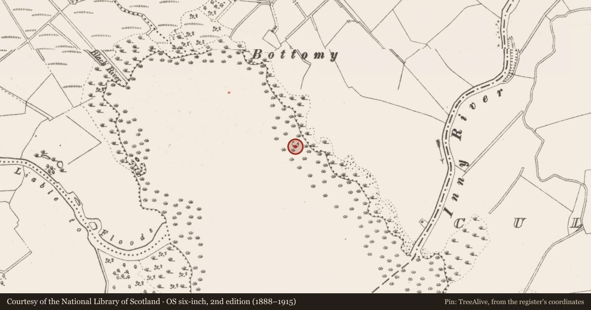 Ordnance Survey six-inch map, 2nd edition (1888–1915) covering the location of Crannog, Joanstown, Lough Iron, County Westmeath, with a pin at the register's coordinates