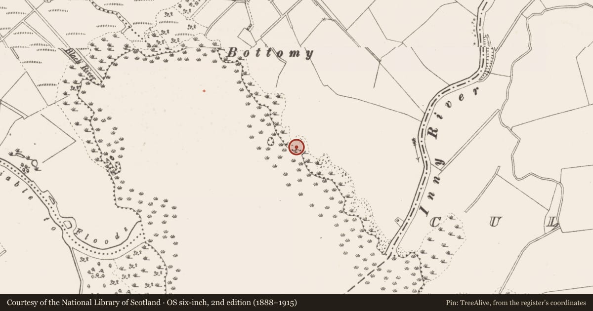 Ordnance Survey six-inch map, 2nd edition (1888–1915) covering the location of Crannog, Joanstown, Lough Iron, County Westmeath, with a pin at the register's coordinates