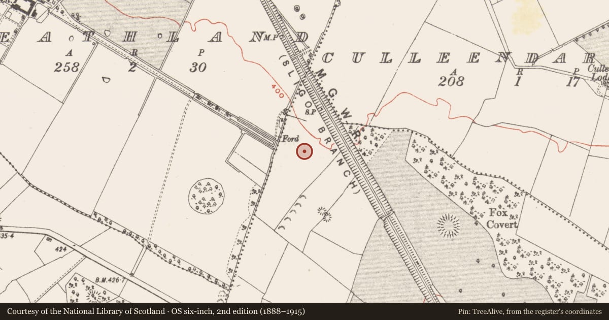 Ordnance Survey six-inch map, 2nd edition (1888–1915) covering the location of Moated site, Ballynafid, County Westmeath, with a pin at the register's coordinates