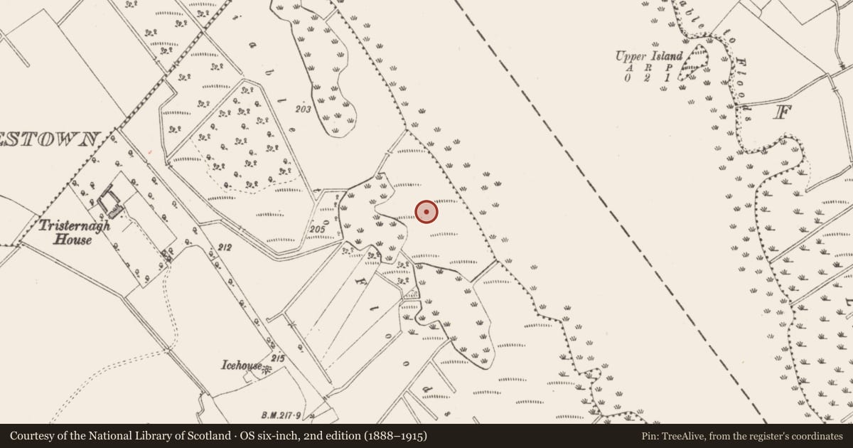 Ordnance Survey six-inch map, 2nd edition (1888–1915) covering the location of Mound, Tristernagh Demesne, County Westmeath, with a pin at the register's coordinates