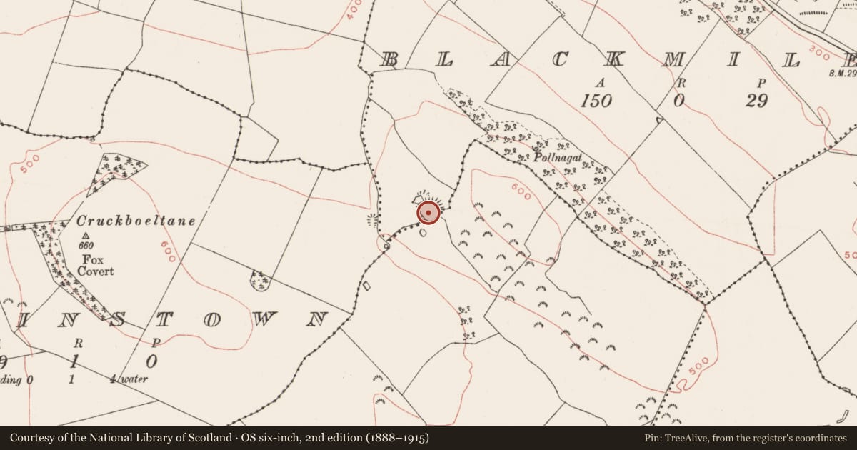 Ordnance Survey six-inch map, 2nd edition (1888–1915) covering the location of Ringfort - rath, Blackmiles, County Westmeath, with a pin at the register's coordinates