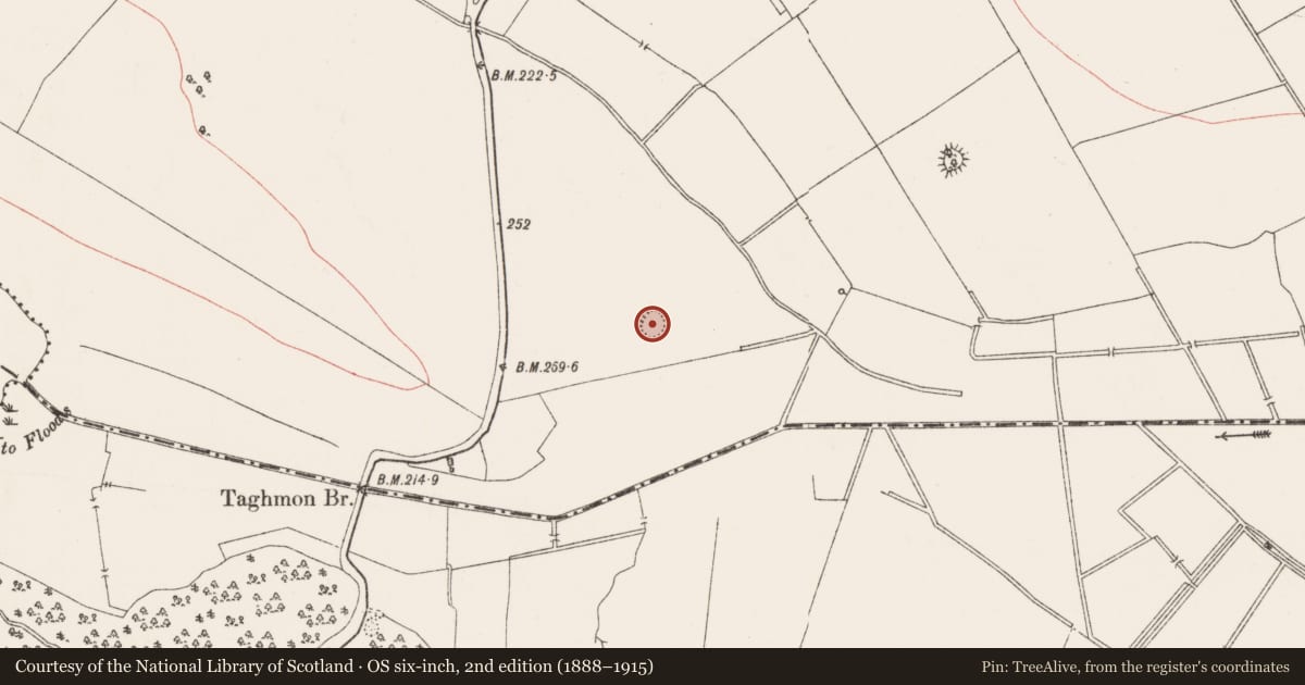 Ordnance Survey six-inch map, 2nd edition (1888–1915) covering the location of Ringfort - rath, Gartlandstown, County Westmeath, with a pin at the register's coordinates