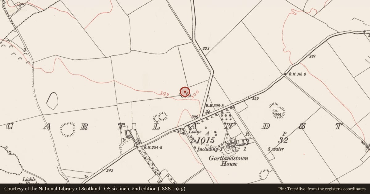 Ordnance Survey six-inch map, 2nd edition (1888–1915) covering the location of Ringfort - rath, Gartlandstown, County Westmeath, with a pin at the register's coordinates