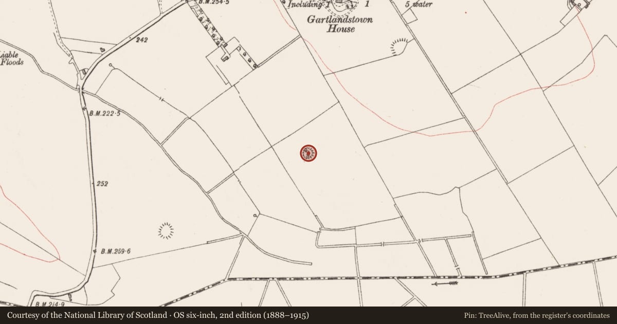 Ordnance Survey six-inch map, 2nd edition (1888–1915) covering the location of Ringfort - rath, Gartlandstown, County Westmeath, with a pin at the register's coordinates