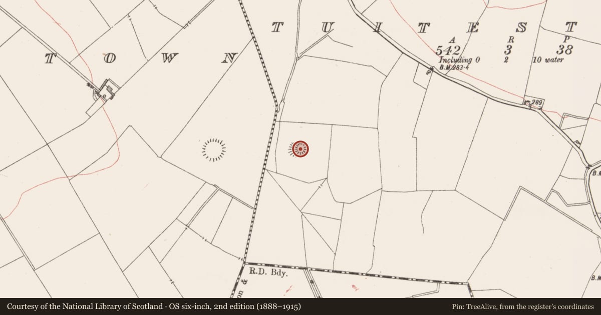 Ordnance Survey six-inch map, 2nd edition (1888–1915) covering the location of Ringfort - rath, Tuitestown, County Westmeath, with a pin at the register's coordinates