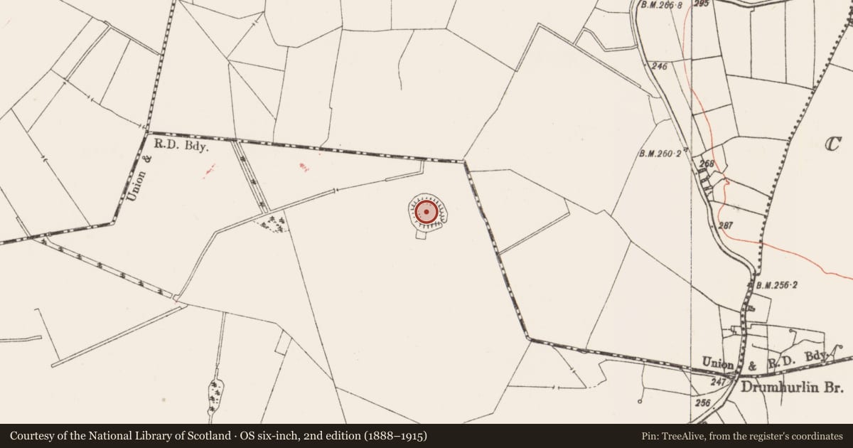 Ordnance Survey six-inch map, 2nd edition (1888–1915) covering the location of Ringfort - rath, Taghmon, County Westmeath, with a pin at the register's coordinates
