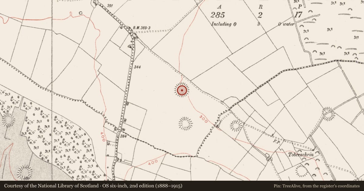 Ordnance Survey six-inch map, 2nd edition (1888–1915) covering the location of Ringfort - rath, Culleenabohoge, County Westmeath, with a pin at the register's coordinates