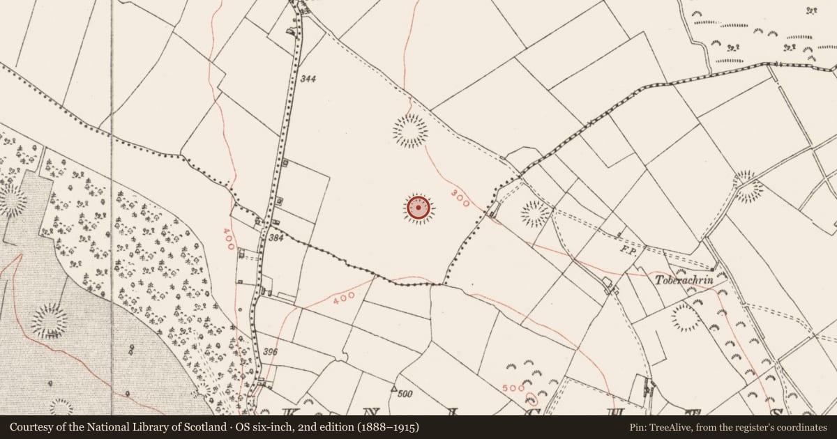 Ordnance Survey six-inch map, 2nd edition (1888–1915) covering the location of Ringfort - unclassified, Culleenabohoge, County Westmeath, with a pin at the register's coordinates